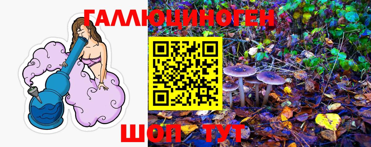 Галлюциногенные грибы Psilocybe  Вход с VPN  Геленджик  Галлюциногенные грибы мицелий 