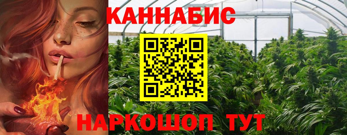 Геленджик  Бошки Шишки ГИДРОПОН  Вход с VPN  Конопля SATIVA & INDICA  Конопля планчик 